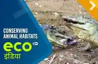 Conserving animal habitats 