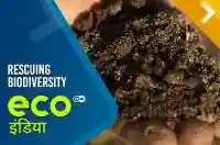 Rescuing biodiversity