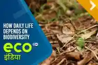 How daily life depends on biodiversity