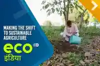 Making the shift to sustainable agriculture