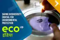 Saving biodiversity: Crucial for environmental protection