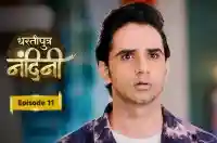 E11 - Dhartiputra Nandini