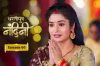 E60 - Dhartiputra Nandini