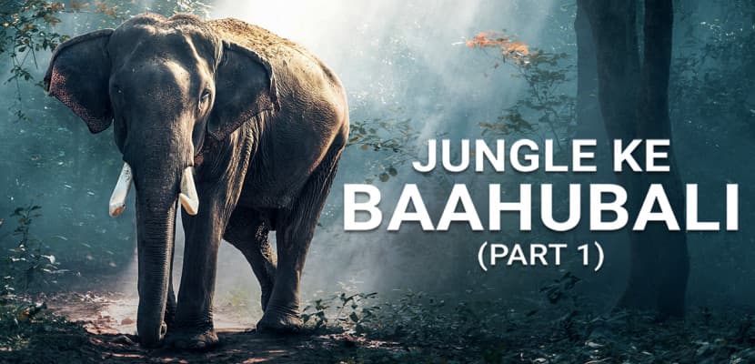 Jungle Ke Baahubali - Part 1